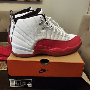 Air Jordan 12 Retro Men 11